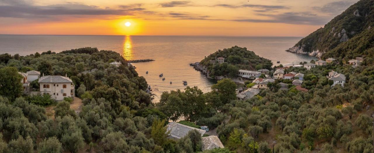 Olive House In Damouchari With A Sea View - Delicious Houses المظهر الخارجي الصورة